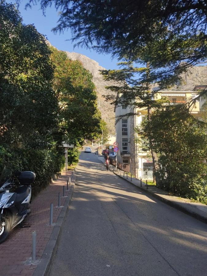 Apartment Oaza 코토르 외부 사진